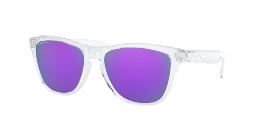 OAKLEY 9013 FROGSKINS