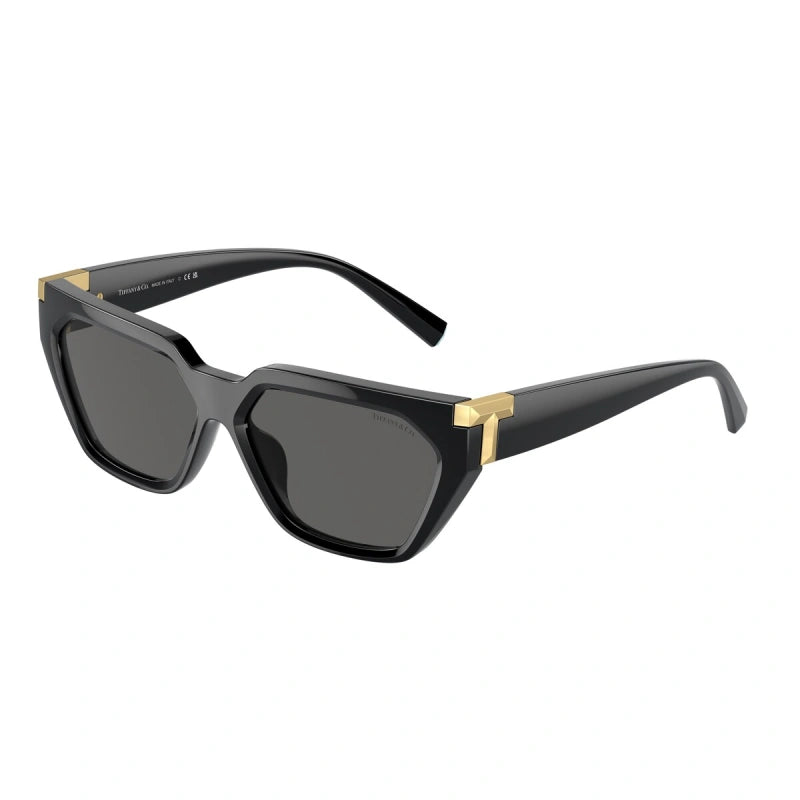 TIFFANY & CO. 4205U