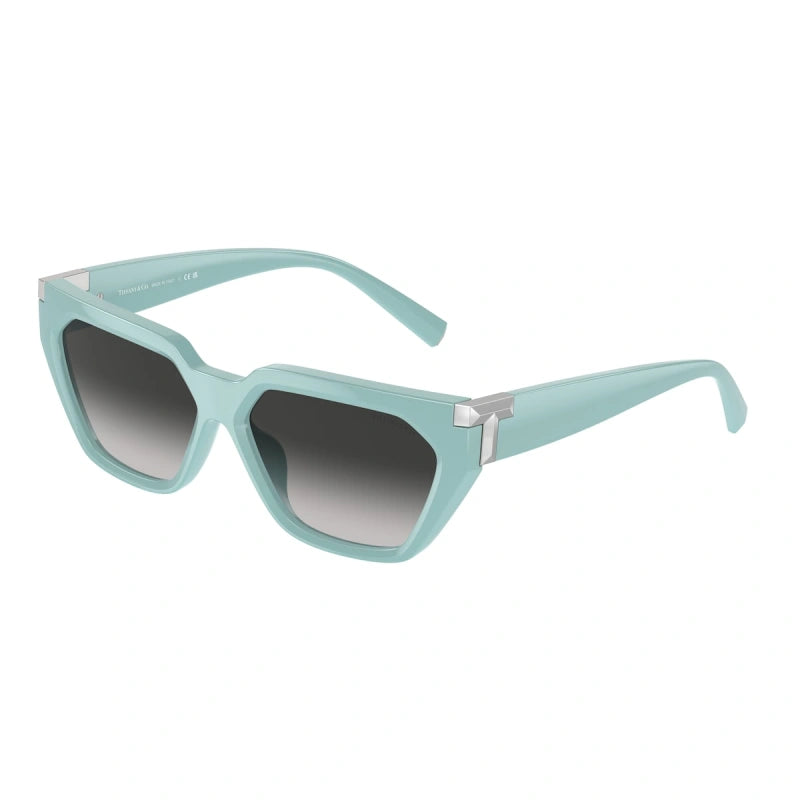TIFFANY & CO. 4205U