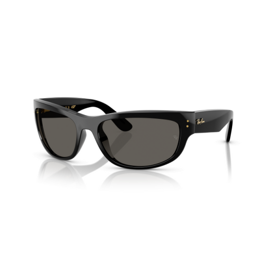 RAY-BAN 2289
