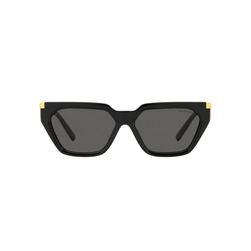 TIFFANY & CO. 4205U