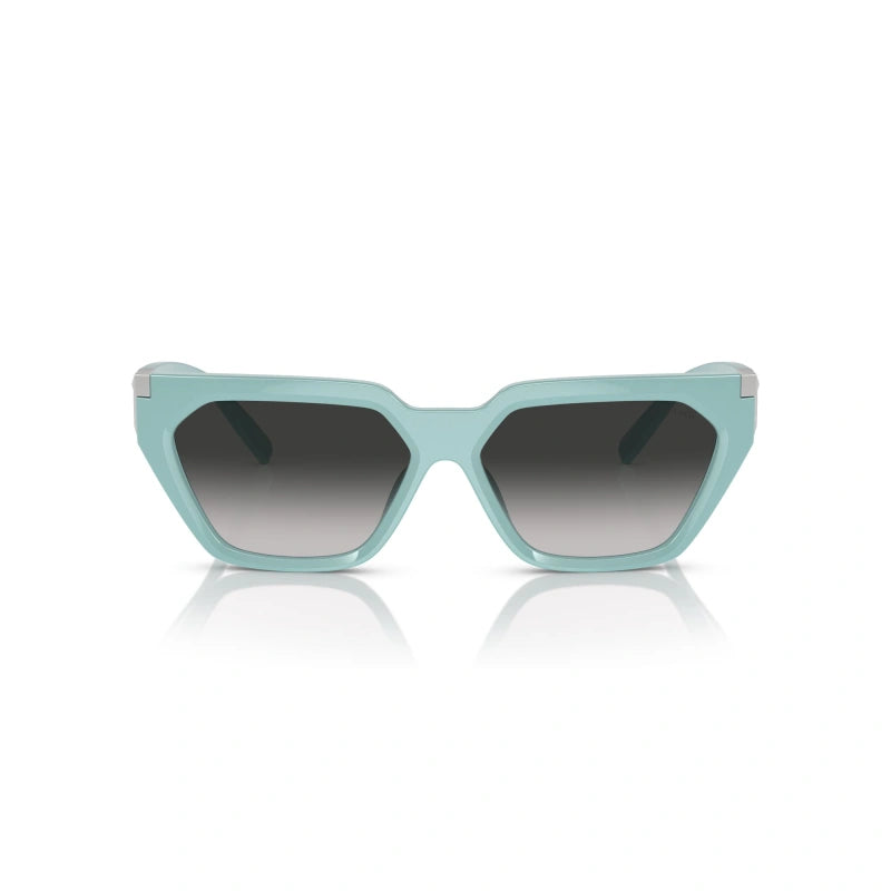 TIFFANY & CO. 4205U