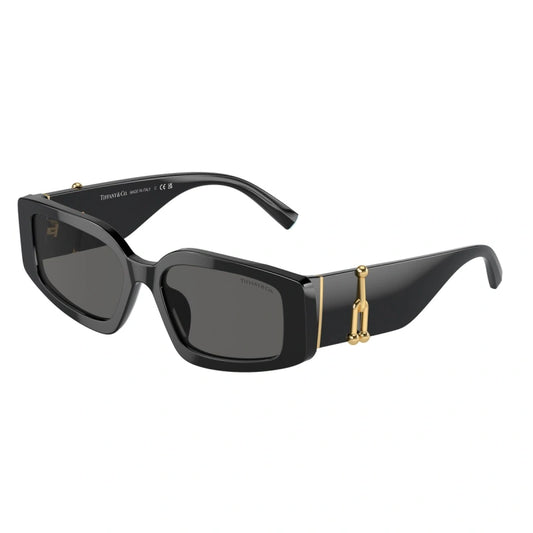 TIFFANY & CO. 4208U