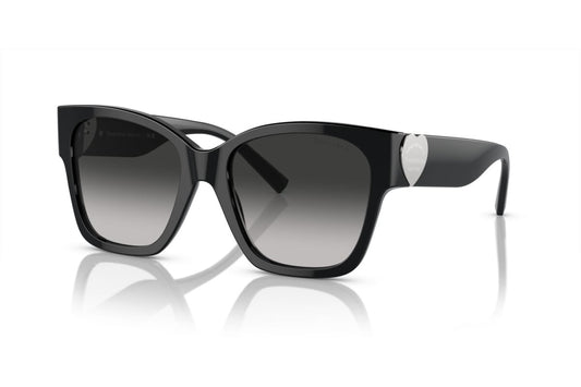 TIFFANY & CO. 4216